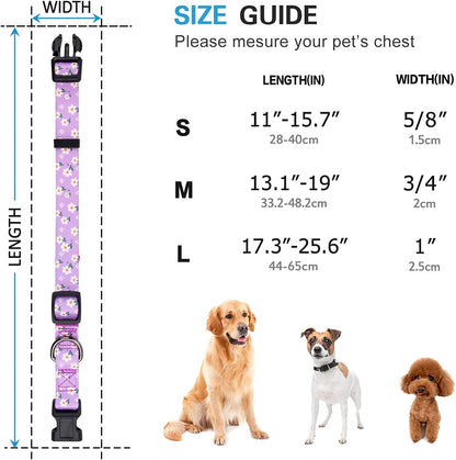 Chic Purple Daisy Floral Dog Collar for Small Dogs