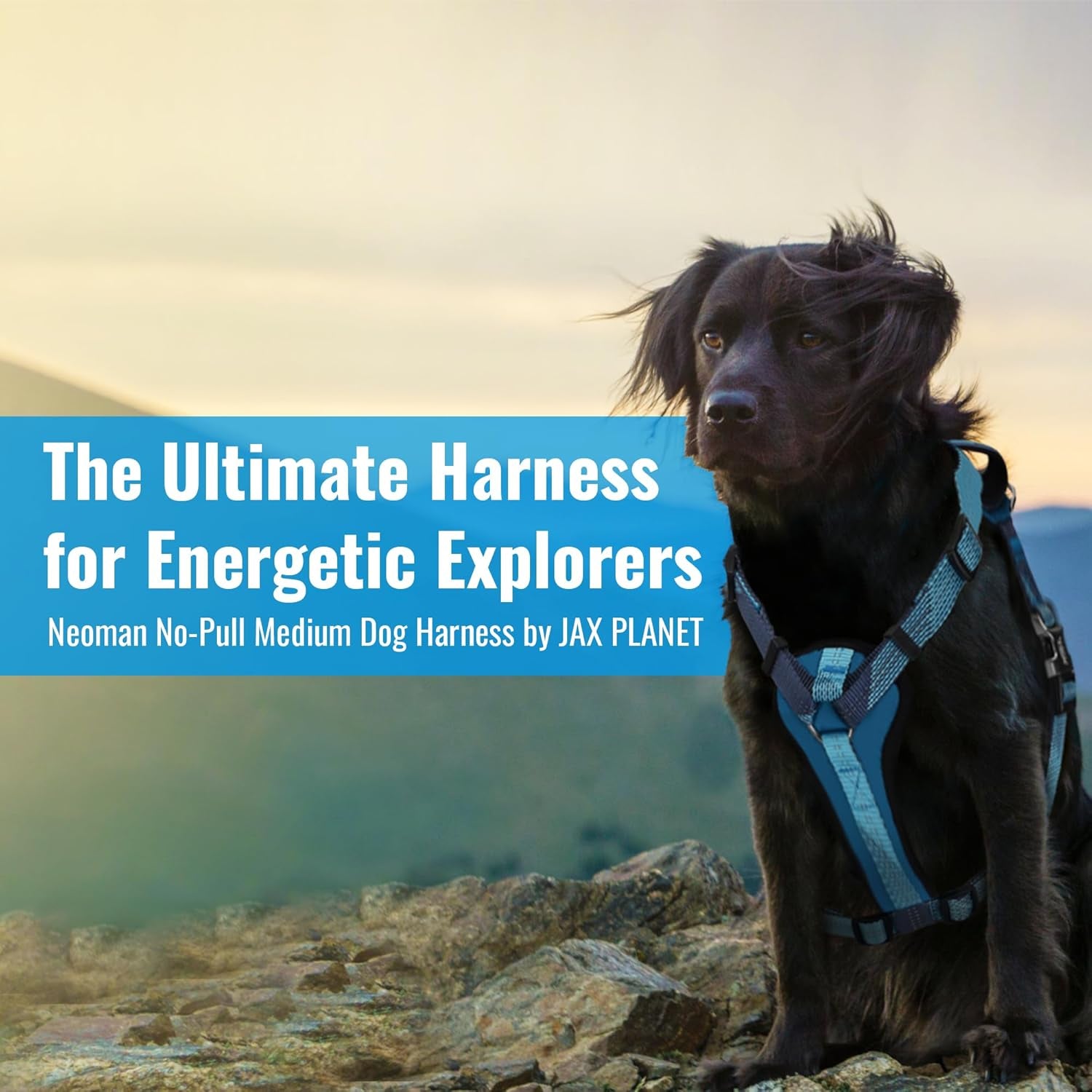 Ultimate No-Pull Dog Harness with Handle – Escape Proof & Reflective Design for Safe Walks & Training - Easy On/Off - Medium/Large - Black