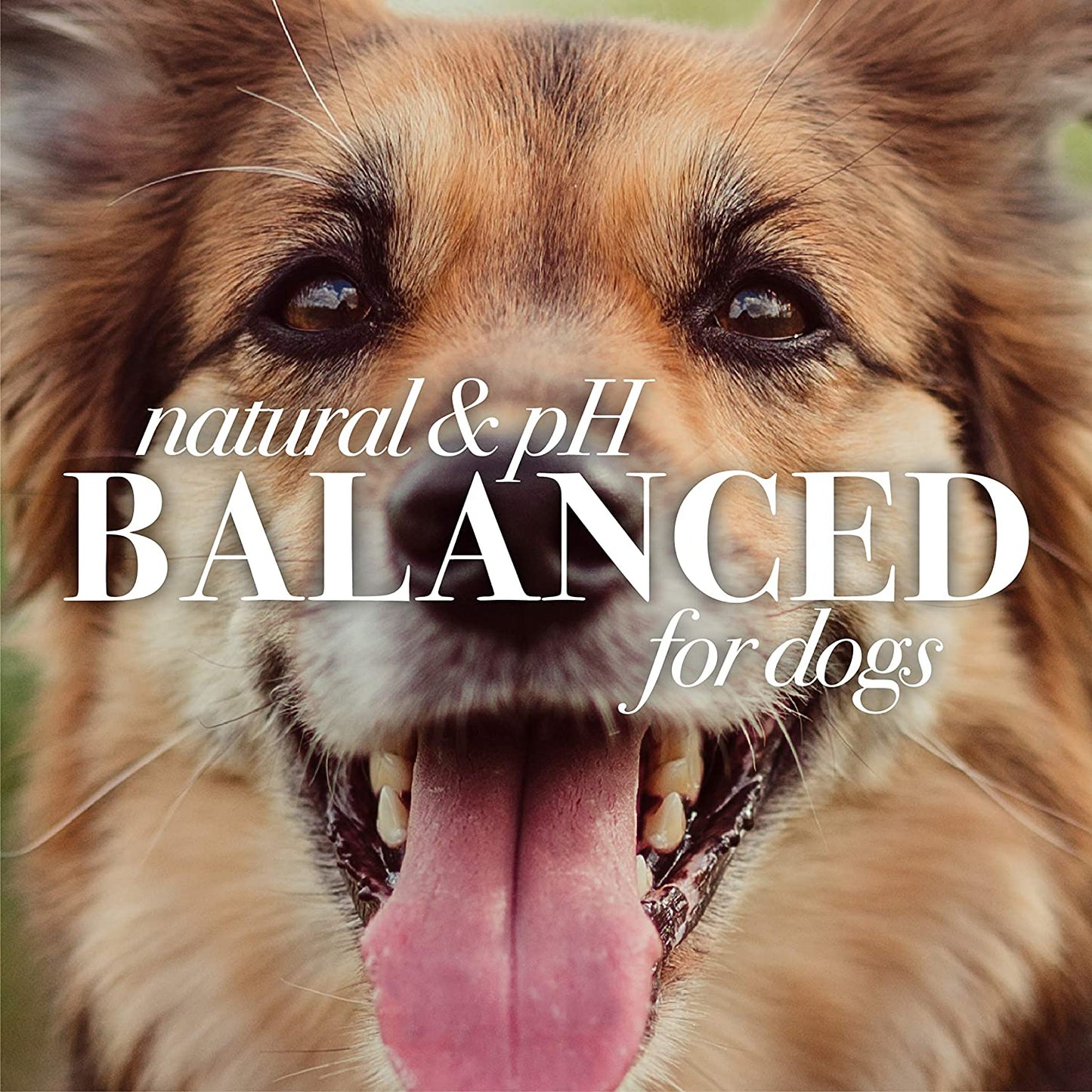 Naturally Derived Skin Soothing Honey Shampoo for Dogs - Gentle Formula for All Breeds & Puppies - Perfect for Dry & Sensitive Skin - Made in the USA, 16 Oz