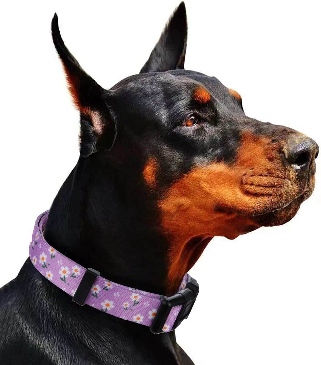 Chic Purple Daisy Floral Dog Collar for Small Dogs