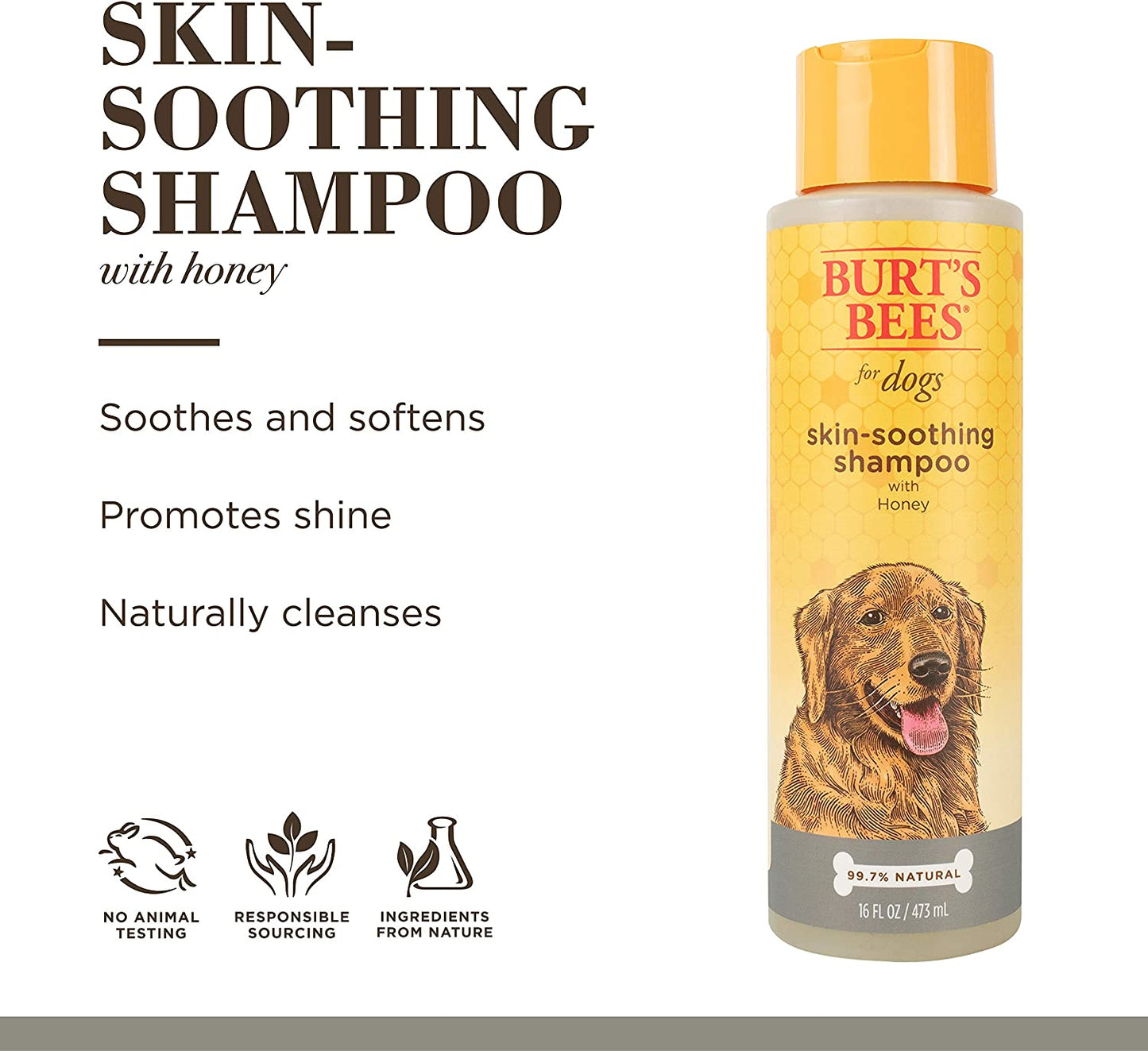Naturally Derived Skin Soothing Honey Shampoo for Dogs - Gentle Formula for All Breeds & Puppies - Perfect for Dry & Sensitive Skin - Made in the USA, 16 Oz