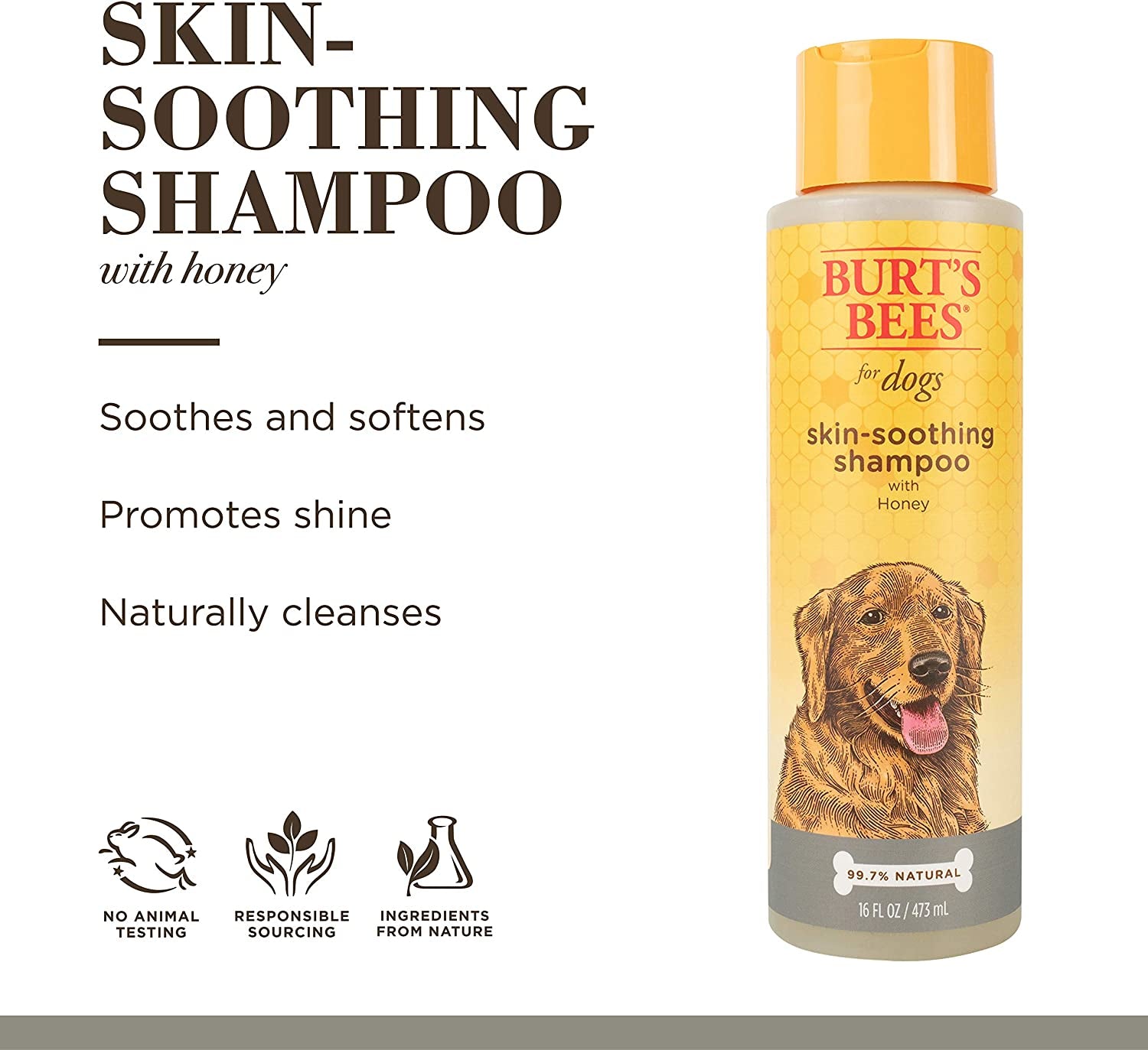 Naturally Derived Skin Soothing Honey Shampoo for Dogs - Gentle Formula for All Breeds & Puppies - Perfect for Dry & Sensitive Skin - Made in the USA, 16 Oz