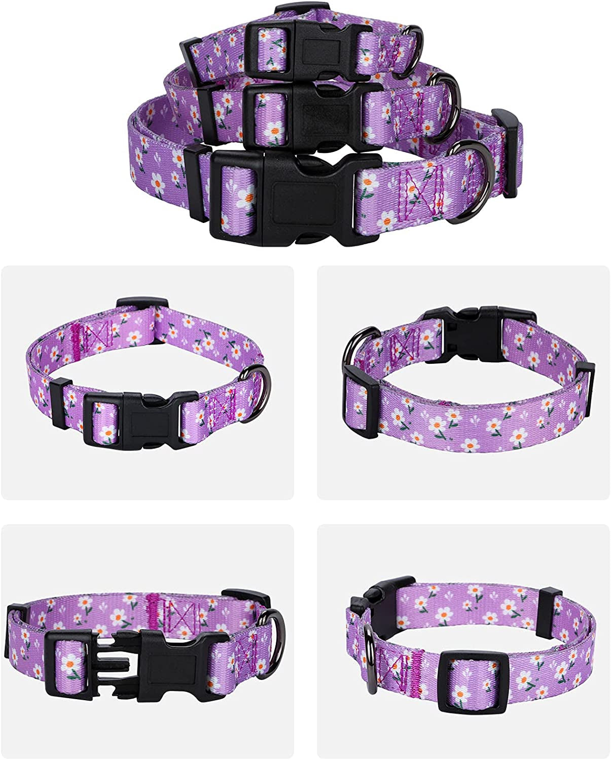 Chic Purple Daisy Floral Dog Collar for Small Dogs