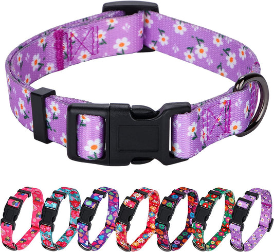 Chic Purple Daisy Floral Dog Collar for Small Dogs