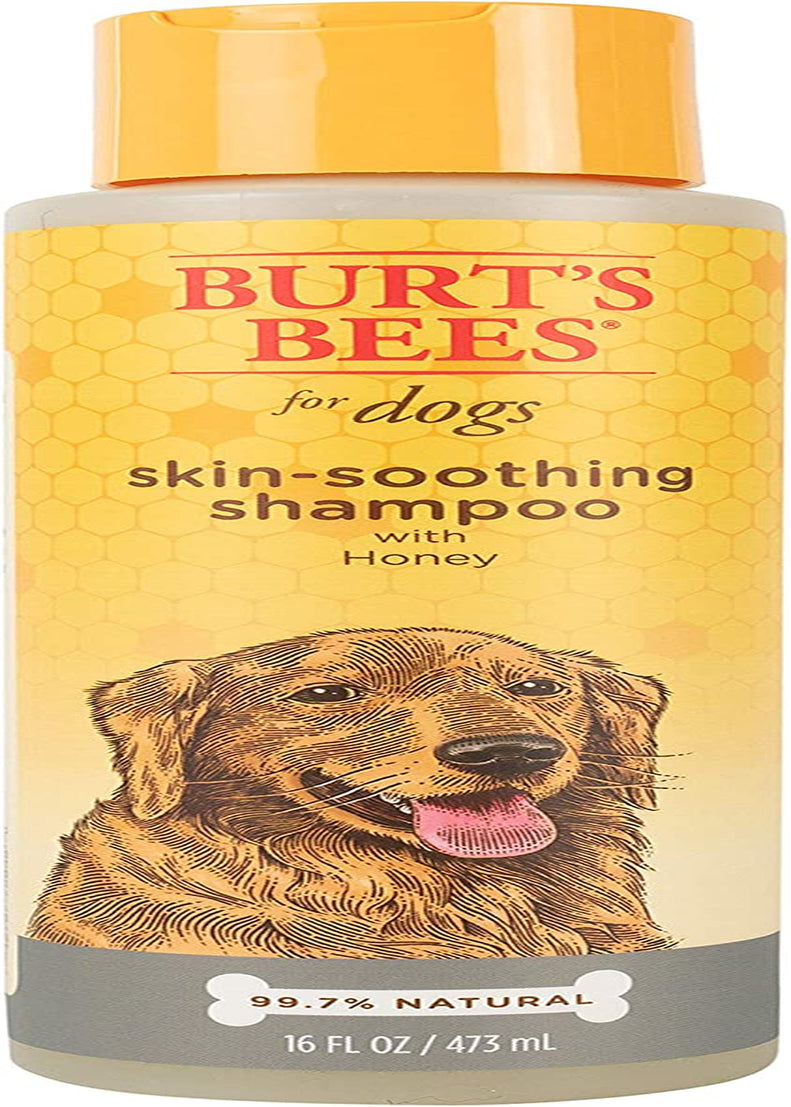 Naturally Derived Skin Soothing Honey Shampoo for Dogs - Gentle Formula for All Breeds & Puppies - Perfect for Dry & Sensitive Skin - Made in the USA, 16 Oz