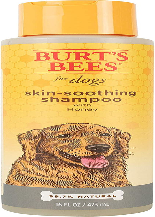 Naturally Derived Skin Soothing Honey Shampoo for Dogs - Gentle Formula for All Breeds & Puppies - Perfect for Dry & Sensitive Skin - Made in the USA, 16 Oz
