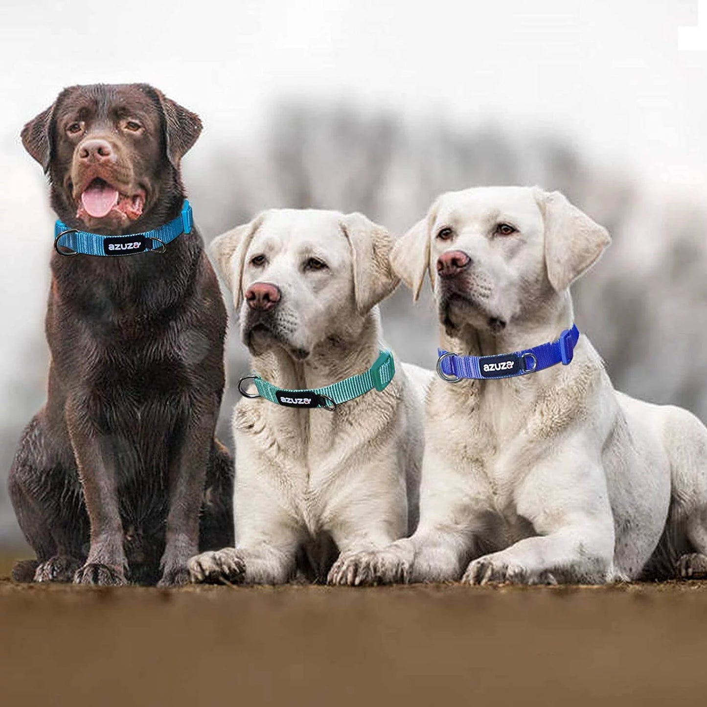 Comfort Fit 3-Pack Dog Collars - Soft & Stylish for All Sizes of Dogs