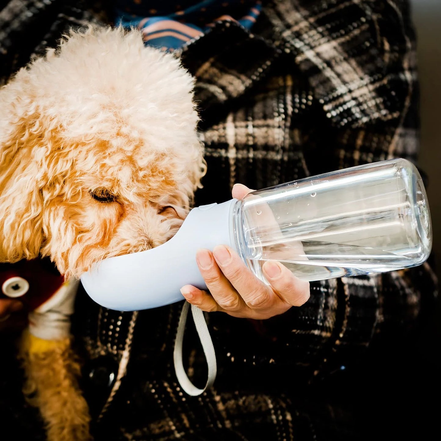 Portable Dog Water Bottle and Bowl Dispenser