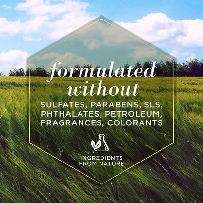 Naturally Derived Skin Soothing Honey Shampoo for Dogs - Gentle Formula for All Breeds & Puppies - Perfect for Dry & Sensitive Skin - Made in the USA, 16 Oz