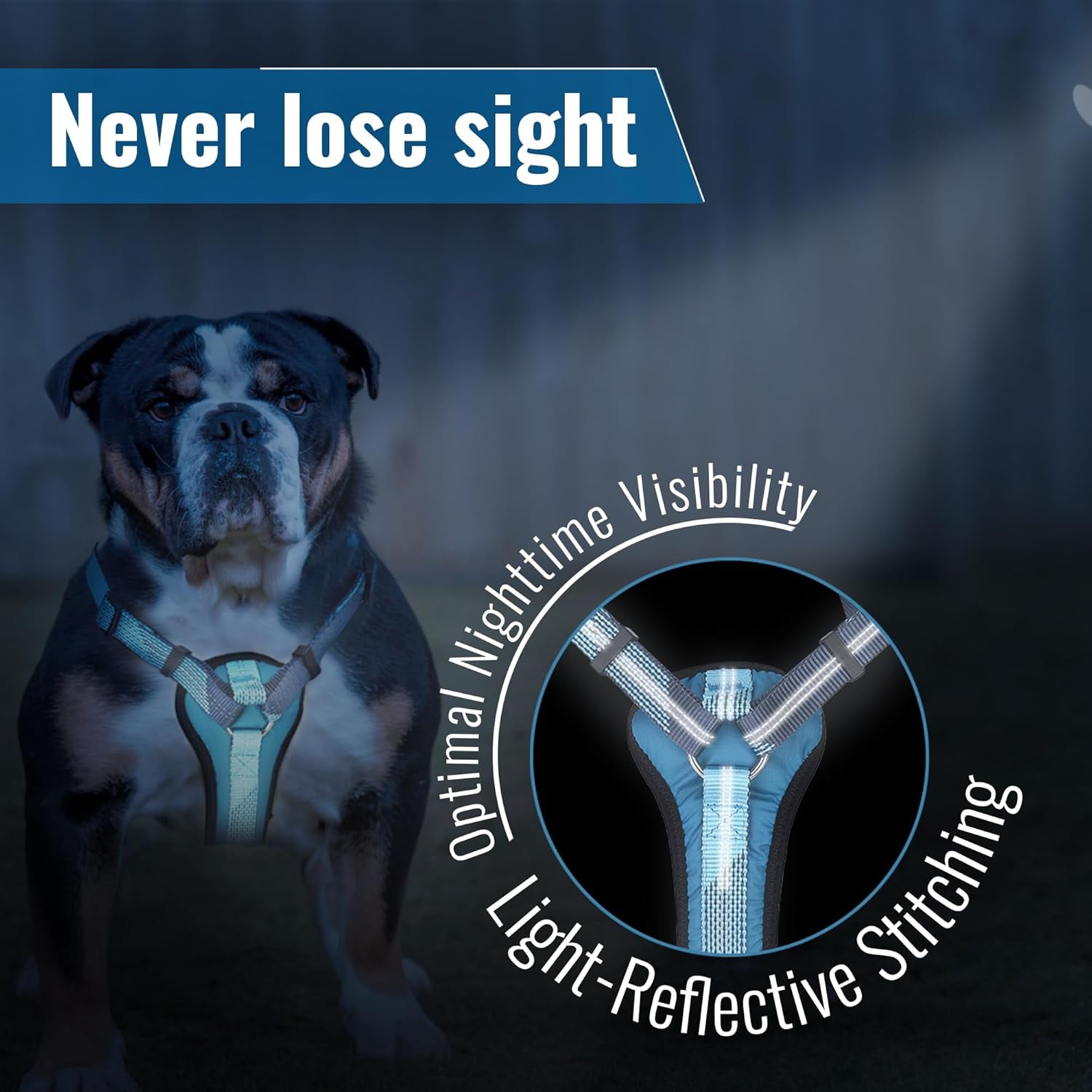 Ultimate No-Pull Dog Harness with Handle – Escape Proof & Reflective Design for Safe Walks & Training - Easy On/Off - Medium/Large - Black