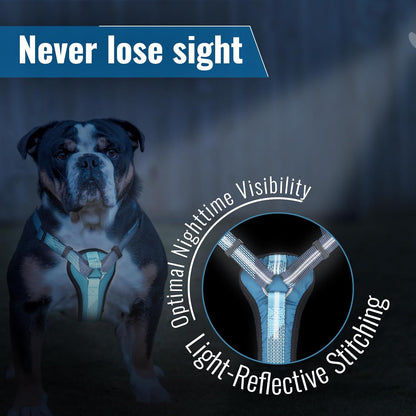 Ultimate No-Pull Dog Harness with Handle – Escape Proof & Reflective Design for Safe Walks & Training - Easy On/Off - Medium/Large - Black