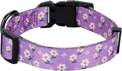 Chic Purple Daisy Floral Dog Collar for Small Dogs